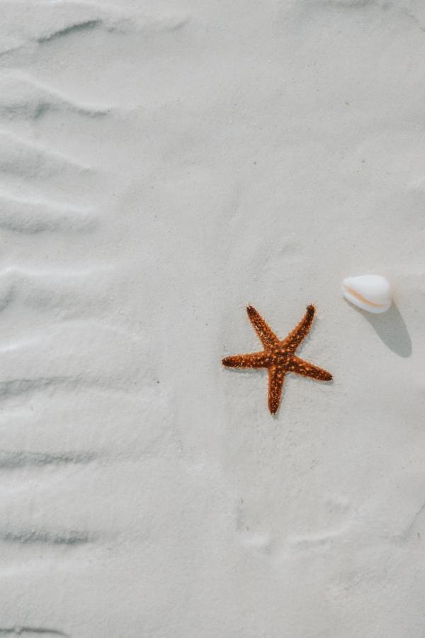 Villas El Encanto Holbox エクステリア 写真