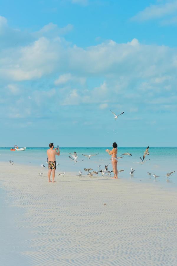 Villas El Encanto Holbox エクステリア 写真